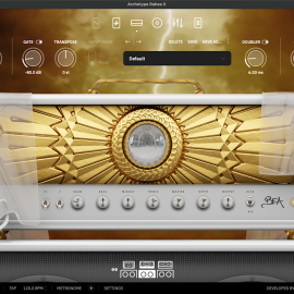 Neural DSP Archetype Rabea X v1.0.1-R2R