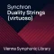 VSL Vienna Symphonic Library Synchron Duality Strings (Virtuoso/Full) for Synchron Player