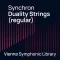 VSL Vienna Symphonic Library Synchron Duality Strings v1.1.0 (Regular/Full) for Synchron Player