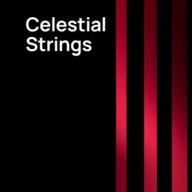 VSL HELLO Celestial Strings v1.2 for Synchron Player-R2R