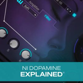 Groove3 NI Dopamine Explained TUTORiAL