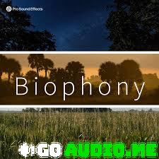 Pro Sound Effects Biophony WAV