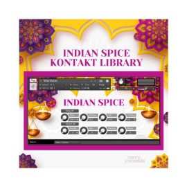 Sonic Market Indian Spice KONTAKT