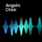 VSL HELLO Angelic Choir v1.2 for Synchron Player-R2R
