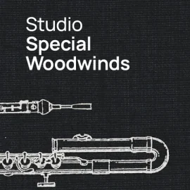 VSL Vienna Symphonic Library Studio Special Woodwinds (Without Basset Horn) for Synchron Player