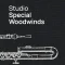 VSL Vienna Symphonic Library Studio Special Woodwinds (Without Basset Horn) for Synchron Player