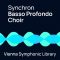 VSL Vienna Symphonic Library Synchron Basso Profondo Choir Full for Synchron Player