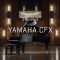 VSL Yamaha CFX Stereo for Synchron Pianos-R2R