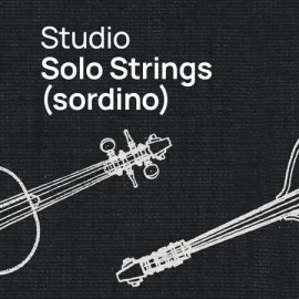 VSL Vienna Symphonic Library Studio Solo Strings (Sordino) for Synchron Player