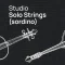 VSL Vienna Symphonic Library Studio Solo Strings (Sordino) for Synchron Player