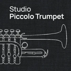 Vienna Symphonic Library Studio Piccolo Trumpet (Synchron Player)