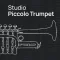 Vienna Symphonic Library Studio Piccolo Trumpet (Synchron Player)
