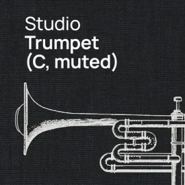 Vienna Symphonic Library Studio Trumpet C muted (Synchron Player)