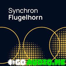 Vienna Symphonic Library Synchron Flugelhorn Full (Synchron Player)