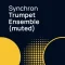 Vienna Symphonic Library Synchron Trumpet Ensemble muted (Synchron Player)