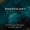 Zero-G Morphology Evolved KONTAKT