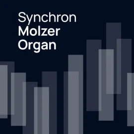 Vienna Symphonic Library Synchron Molzer Organ v1.3.0 (Vienna Organ Player)