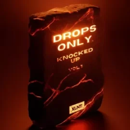 XLNT Drops Only Knocked Up Vol.1 Serum 2 Presets