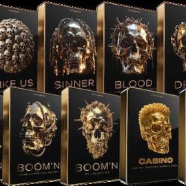 Cymatics 2026 Artist Collection Bonus Edition WAV MIDI