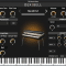 Dexibell T2L Electric Piano v1.0.1 [WIN]