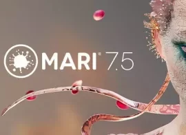 Foundry Mari v7.5v2-R2R