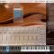 Vienna Symphonic Library Vienna Synchron Player v1.3.3022 [WiN]