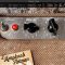 Bogren Digital Ampknob Fatman v1.0.168-R2R