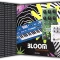 Relooped Analog Fragments Analog Lab Preset Bank