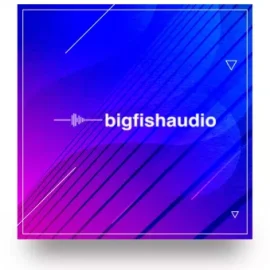 Big Fish Audio Loops for MOTU WAV MiDi