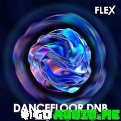 Image-Line Dancefloor DnB (FLEX) UNLOCKED