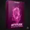 Tech House Market Attitude Tech House Vocal Sample Pack WAV