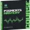 Seed To Stage Synthesis Mastery with Arturia Pigments TUTORiAL Pigment Presets