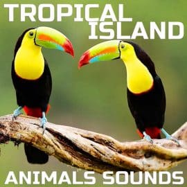 Cloud Nine Records Tropical Island Animals Sounds FLAC