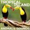 Cloud Nine Records Tropical Island Animals Sounds FLAC