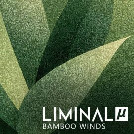 Crocus Soundware Liminal µ: Bamboo Winds KONTAKT